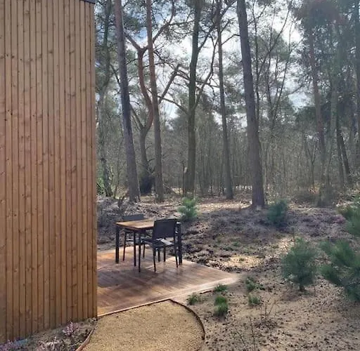 Bosrijk Tiny House Op De Veluwe * Beekbergen